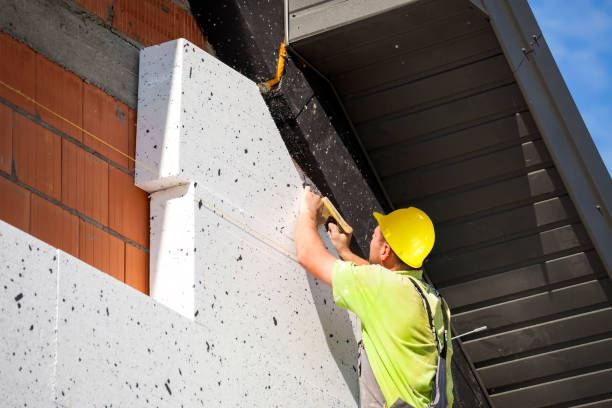 Best Attic Insulation Installation  in Moville, IA